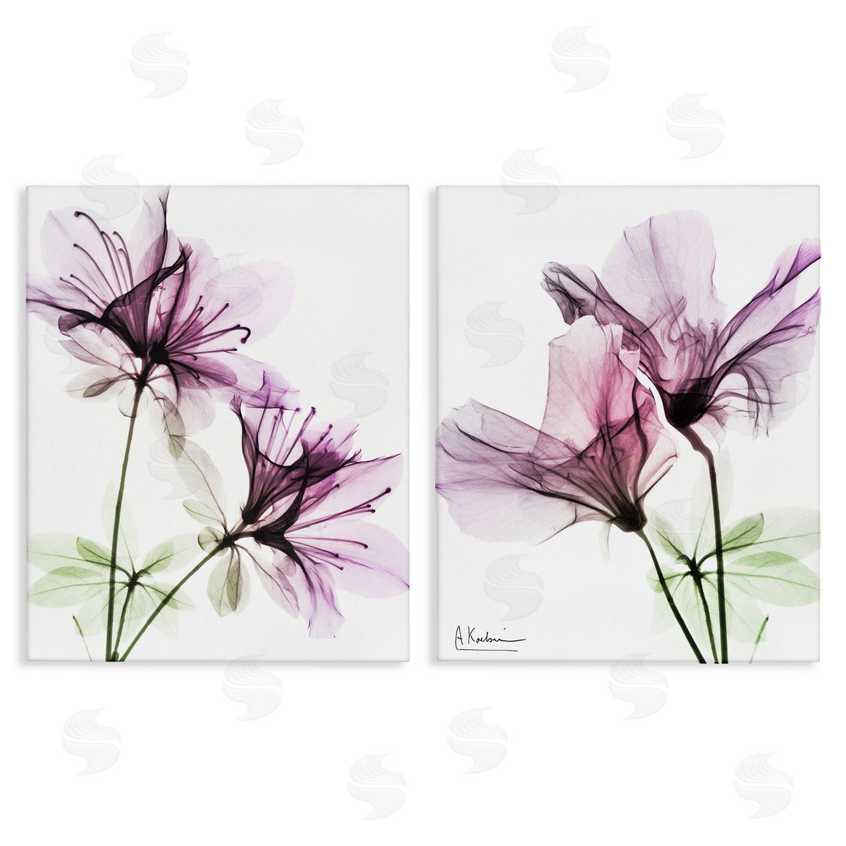Purple Flower Bloom Design Canvas Wall Art, Home Decor by Albert Koetsier