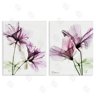 Albert Koetsier | Purple Flower Bloom Design
