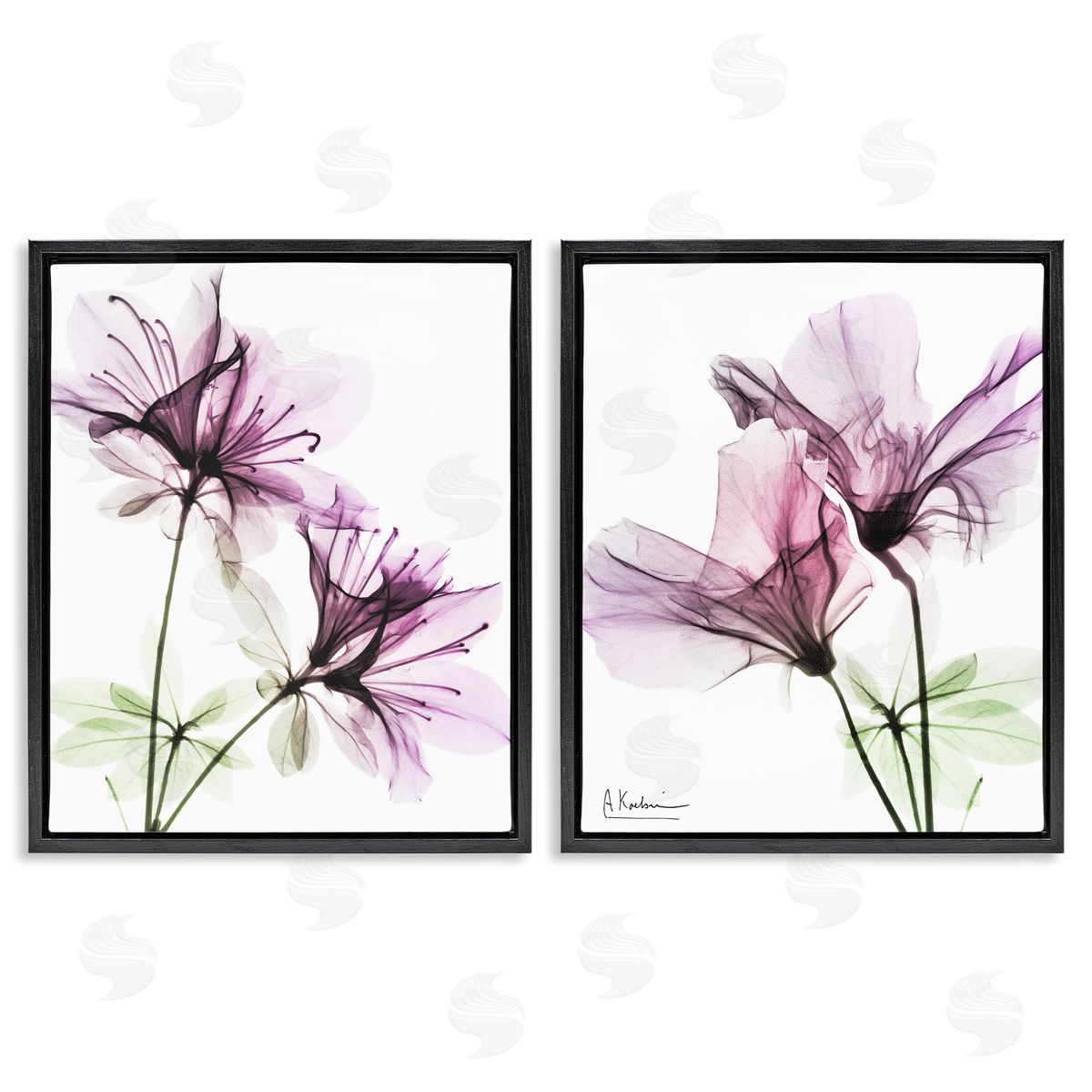 Purple Flower Bloom Design Black Floating Frame Canvas Wall Art, Home Decor by Albert Koetsier