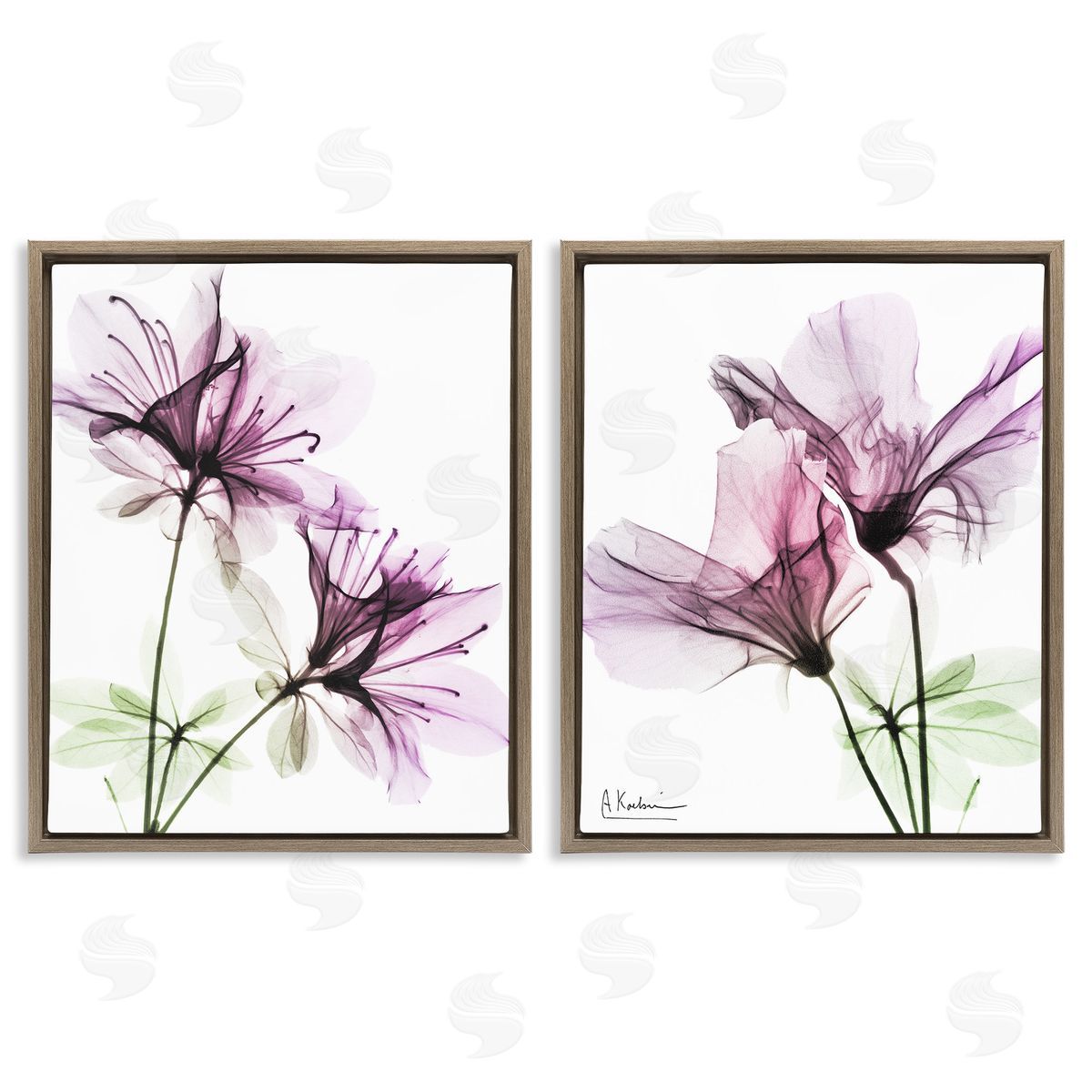 Purple Flower Bloom Design Brown Floating Frame Canvas Wall Art, Home Decor by Albert Koetsier