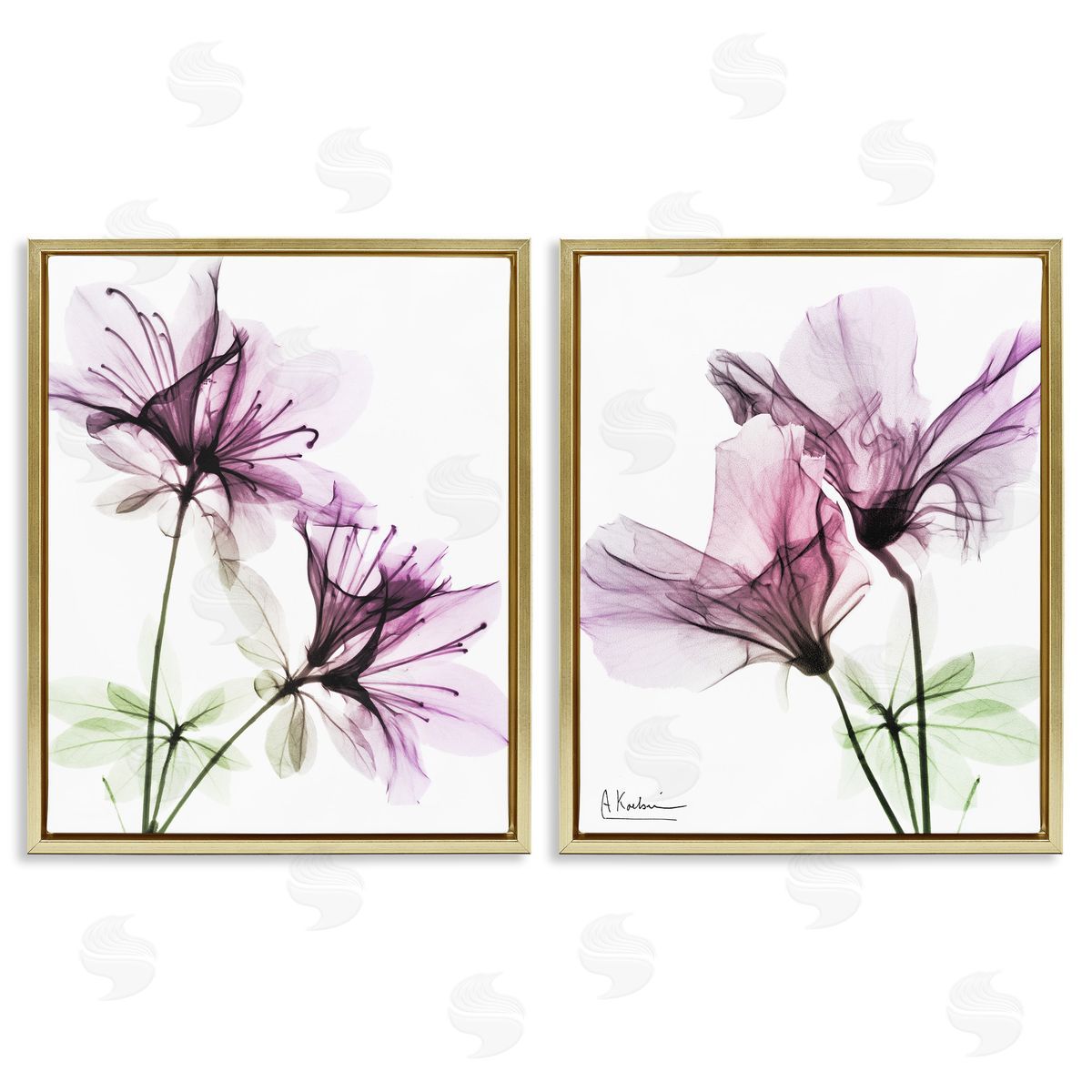 Purple Flower Bloom Design Gold Floating Frame Canvas Wall Art, Home Decor by Albert Koetsier