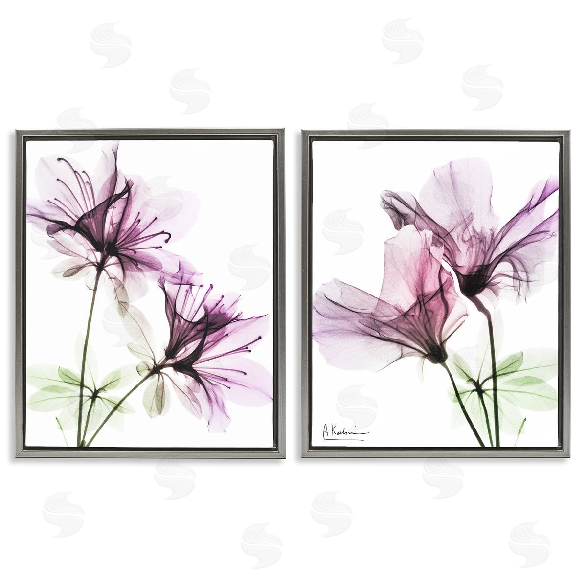 Purple Flower Bloom Design Grey Floating Frame Canvas Wall Art, Home Decor by Albert Koetsier