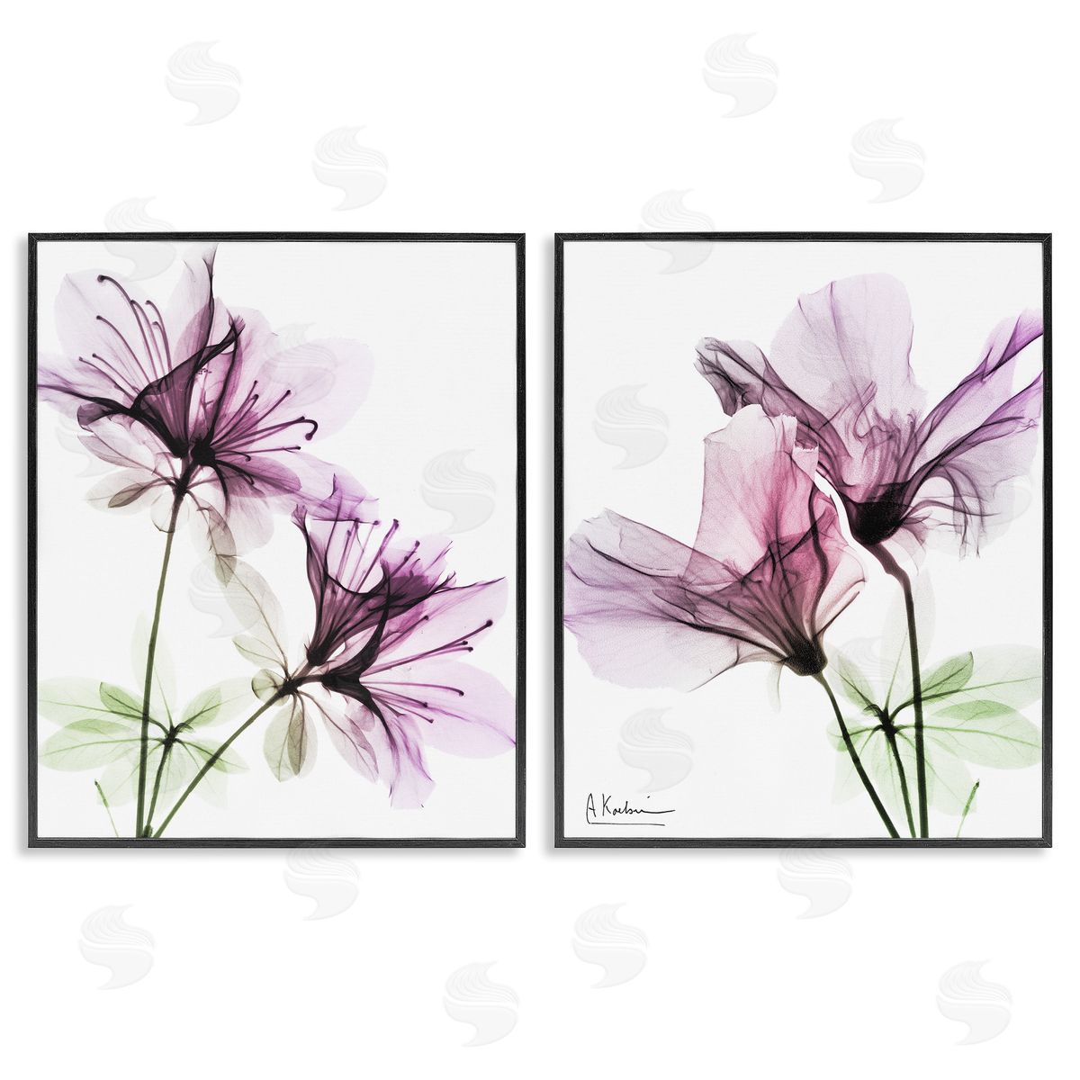 Purple Flower Bloom Design Black Frame Print Wall Art, Home Decor by Albert Koetsier