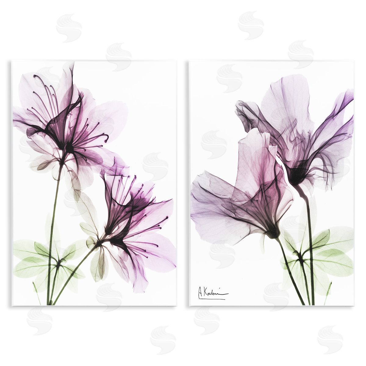 Purple Flower Bloom Design Wood Plaque Wall Art, Home Decor by Albert Koetsier