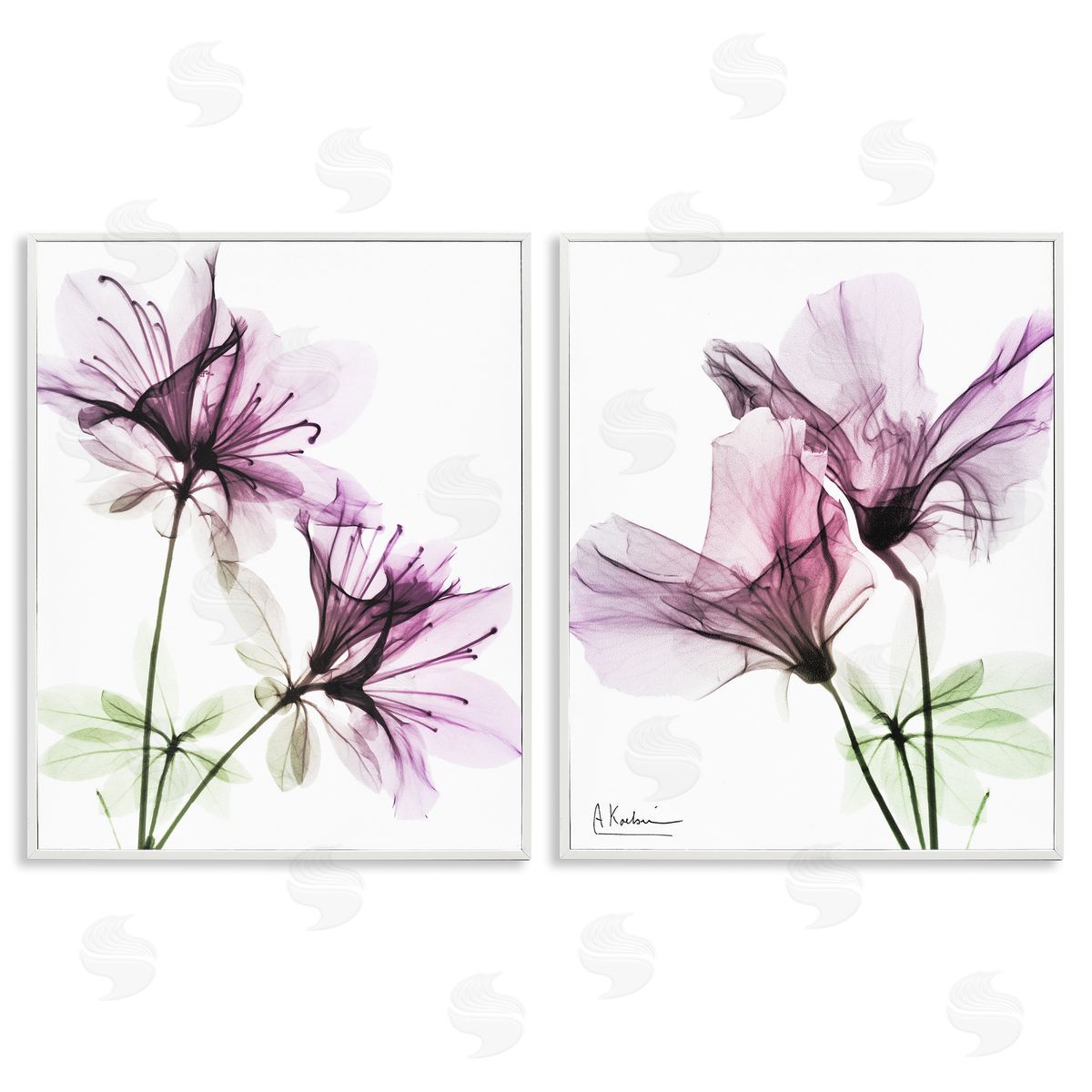 Purple Flower Bloom Design White Frame Print Wall Art, Home Decor by Albert Koetsier