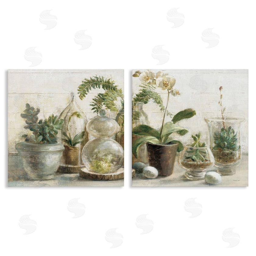 Danhui Nai | Succulent House Plants Country Charm