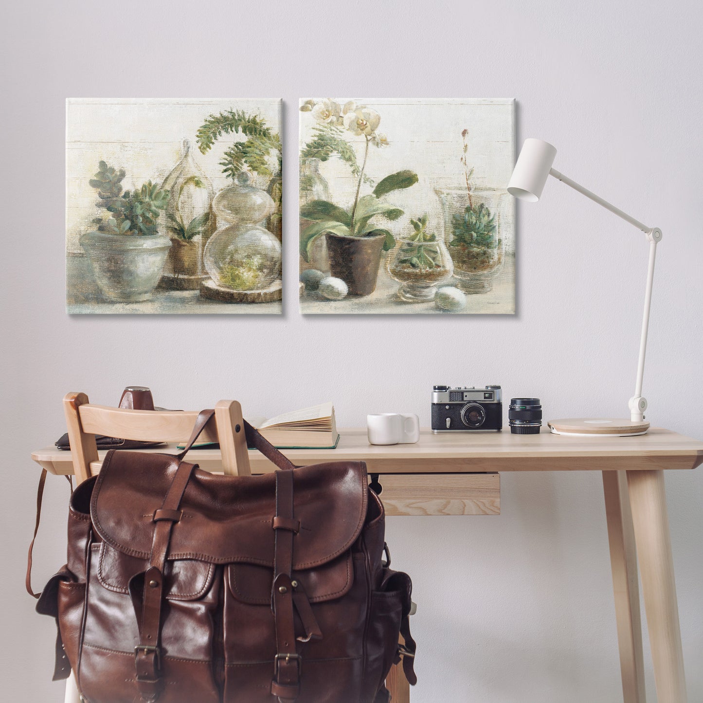 Succulent House Plants Country Charm Canvas Wall Art in Room, Home Decor by Danhui Nai