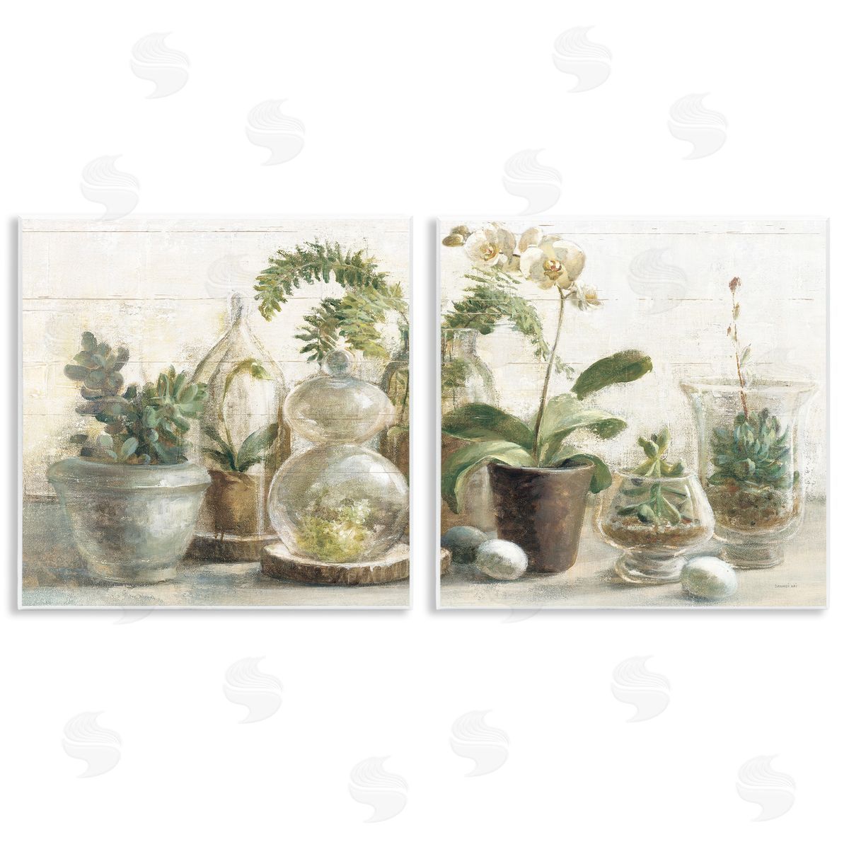 Succulent House Plants Country Charm Wood Plaque Wall Art, Home Decor by Danhui Nai
