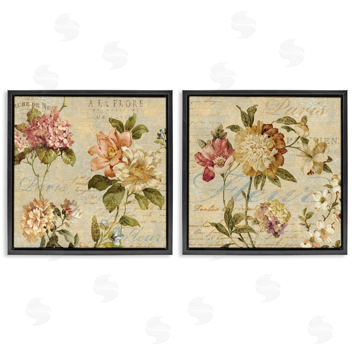 Vintage French Floral with Script Black Floating Frame Canvas Wall Art, Home Decor by Deborah Devellier