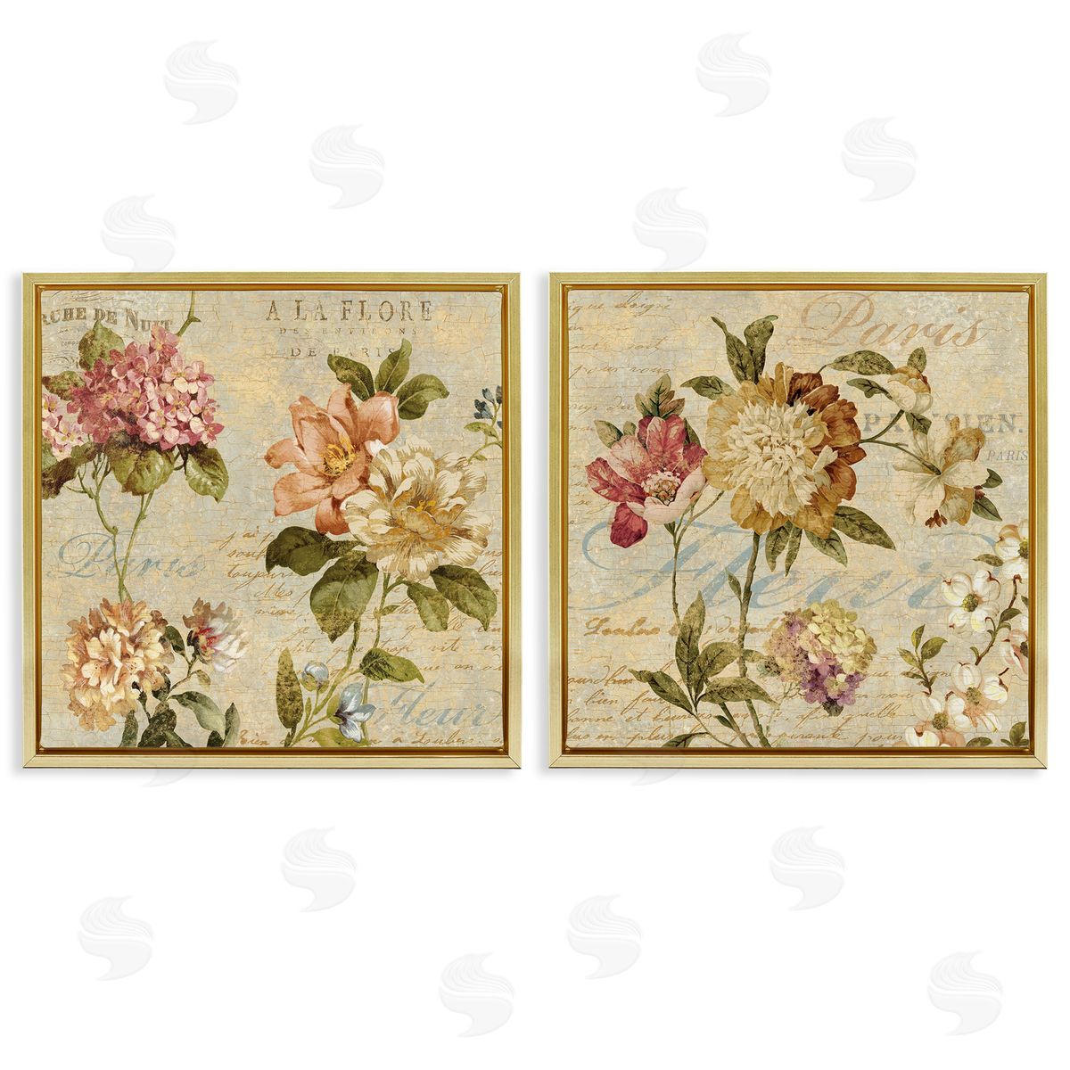 Vintage French Floral with Script Gold Floating Frame Canvas Wall Art, Home Decor by Deborah Devellier