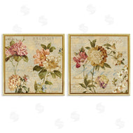 Deborah Devellier | Vintage French Floral with Script