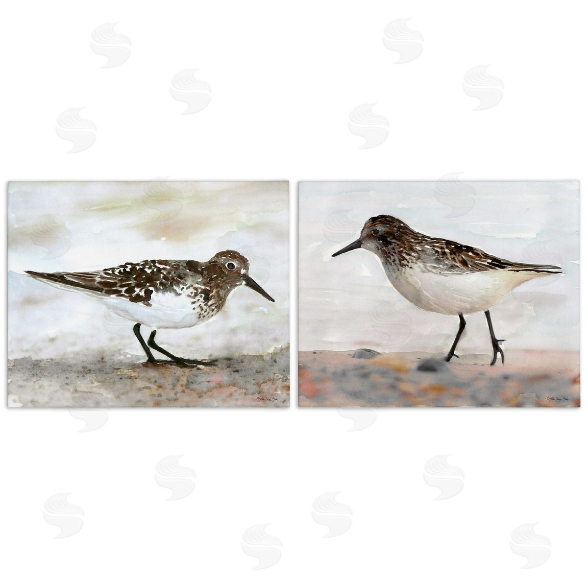 Sandpipers on Coast Nautical Beach Canvas Wall Art, Home Decor by Stellar Design Studio