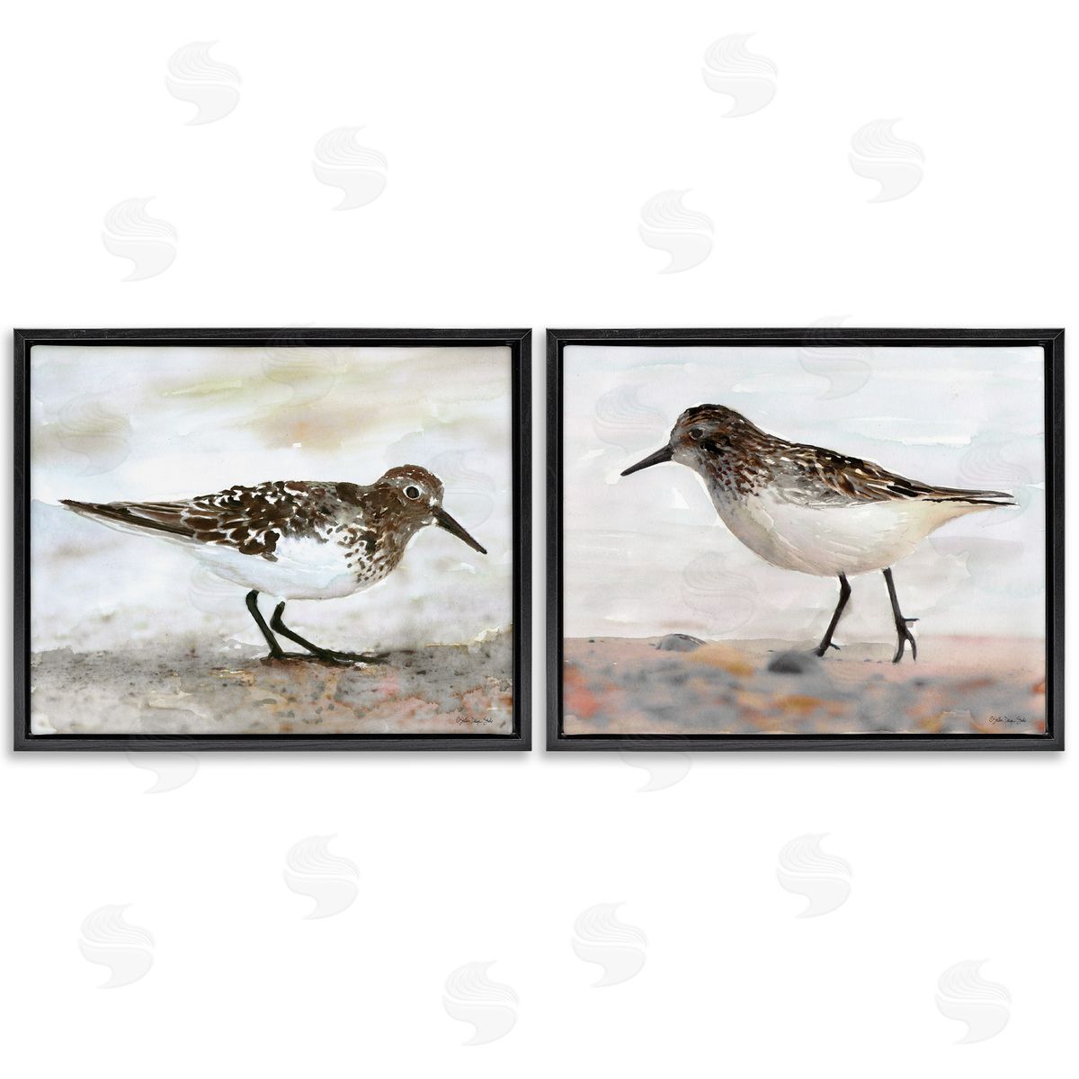Sandpipers on Coast Nautical Beach Black Floating Frame Canvas Wall Art, Home Decor by Stellar Design Studio