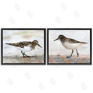 Stellar Design Studio | Sandpipers on Coast Nautical Beach