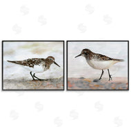 Stellar Design Studio | Sandpipers on Coast Nautical Beach