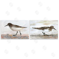 Stellar Design Studio | Sandpipers on Coast Nautical Beach