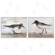 Stellar Design Studio | Sandpipers on Coast Nautical Beach