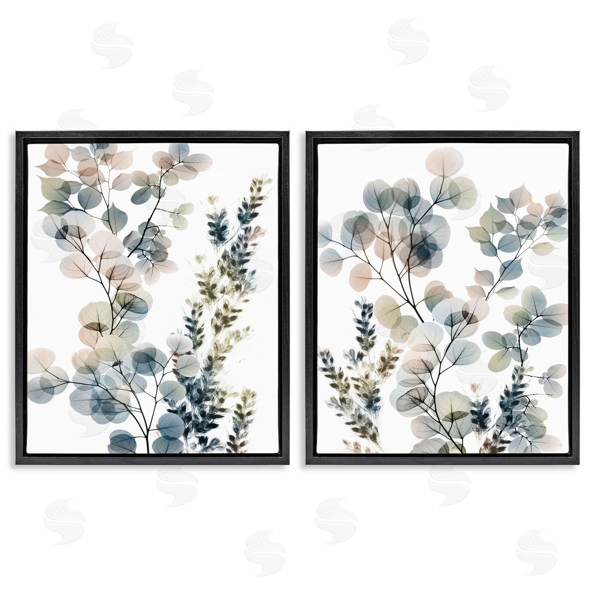 Collage of Translucent Plants Black Floating Frame Canvas Wall Art, Home Decor by Albert Koetsier