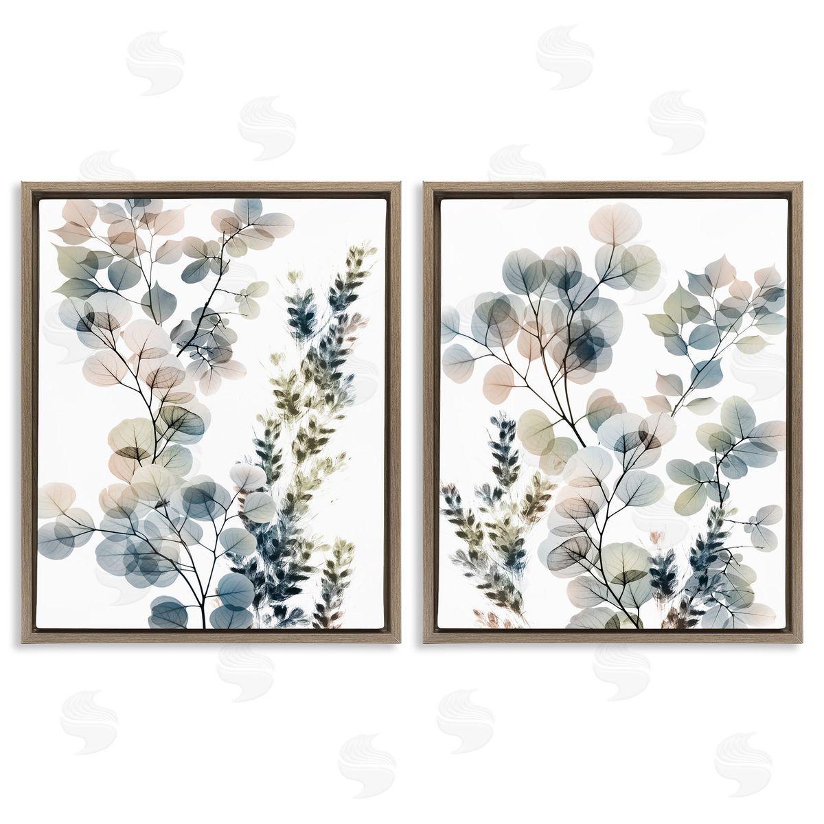 Collage of Translucent Plants Brown Floating Frame Canvas Wall Art, Home Decor by Albert Koetsier