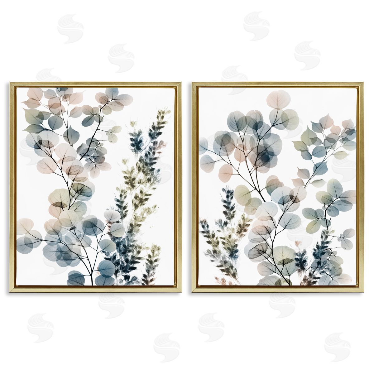 Collage of Translucent Plants Gold Floating Frame Canvas Wall Art, Home Decor by Albert Koetsier