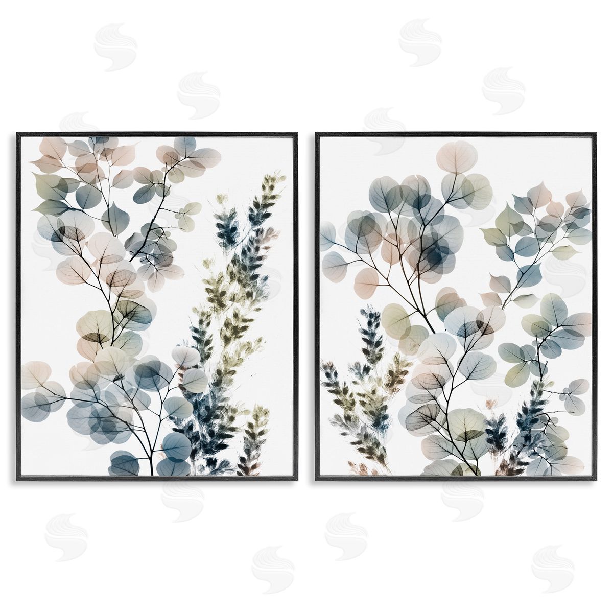 Collage of Translucent Plants Black Frame Print Wall Art, Home Decor by Albert Koetsier