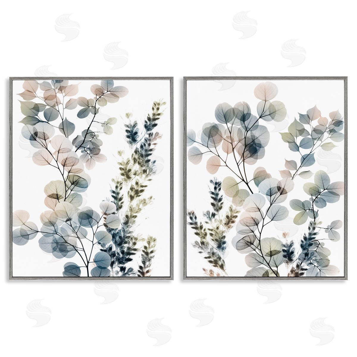 Collage of Translucent Plants Grey Frame Print Wall Art, Home Decor by Albert Koetsier