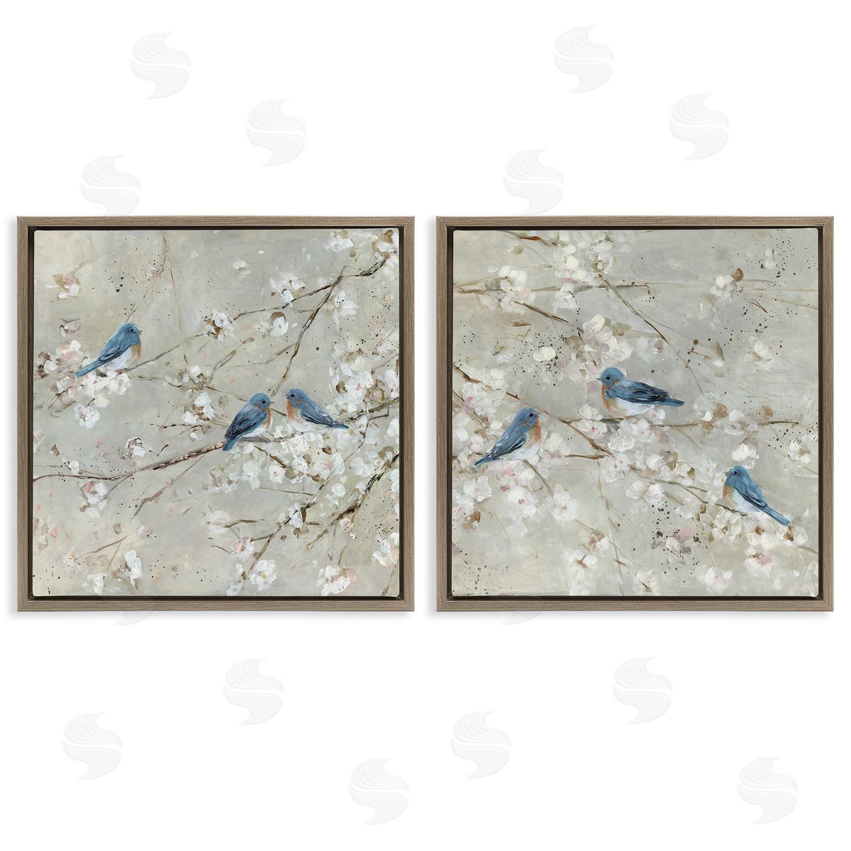 Blue Birds Perched Tree Blossoms Brown Floating Frame Canvas Wall Art, Home Decor by Sally Swatland