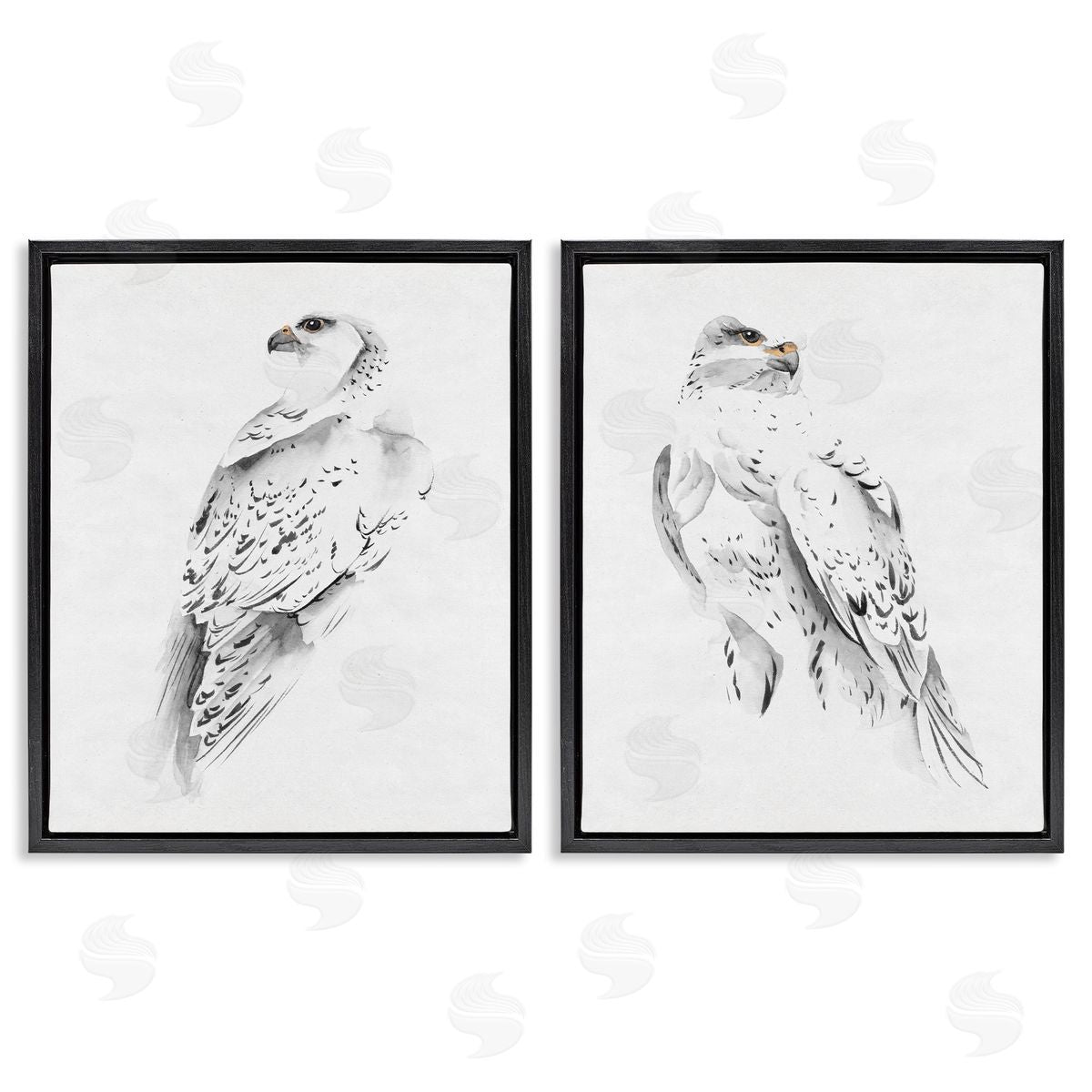 White Hawk Winter Birds Black Floating Frame Canvas Wall Art, Home Decor by Melissa Wang