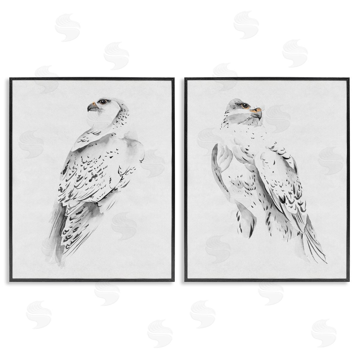 White Hawk Winter Birds Black Frame Print Wall Art, Home Decor by Melissa Wang
