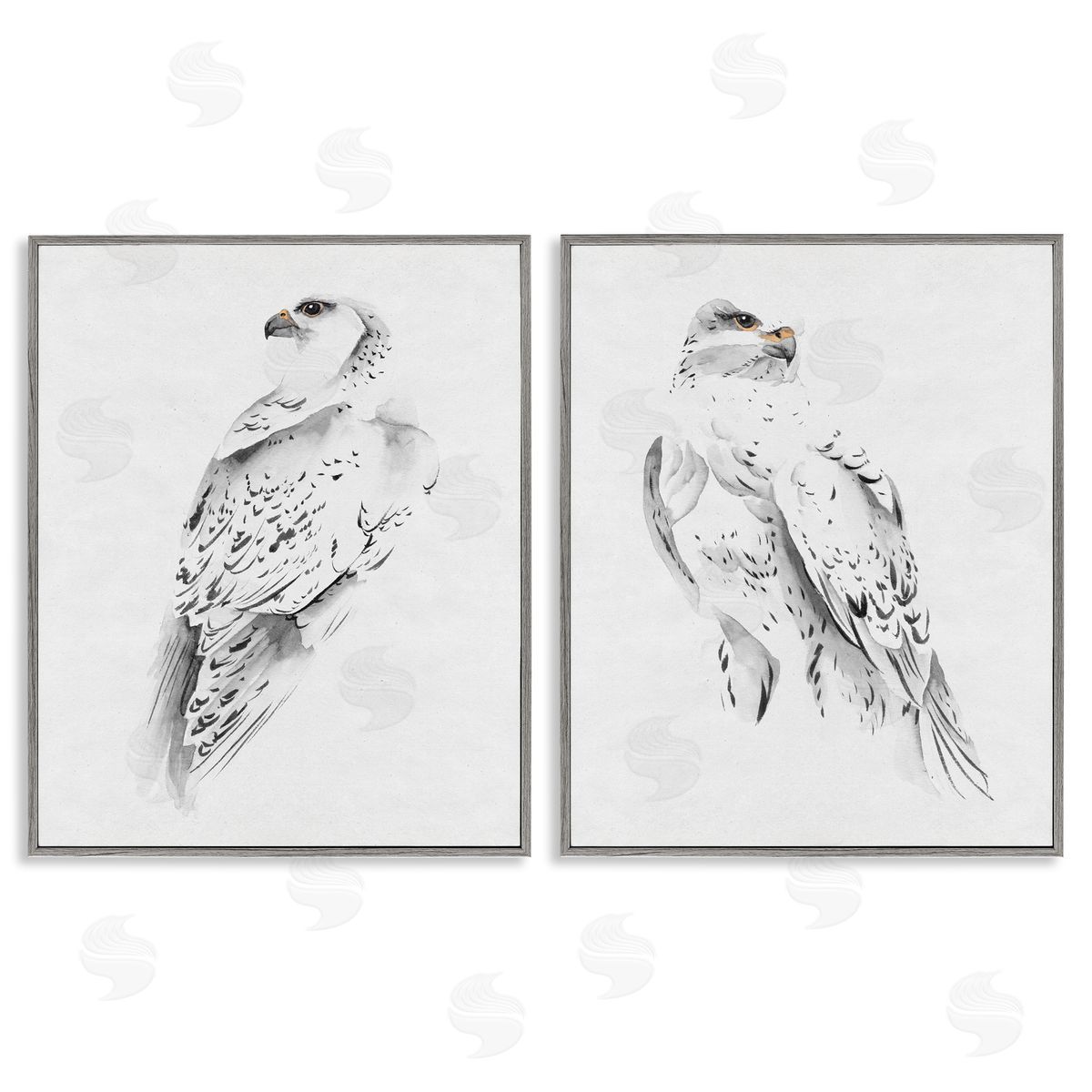 White Hawk Winter Birds Grey Frame Print Wall Art, Home Decor by Melissa Wang