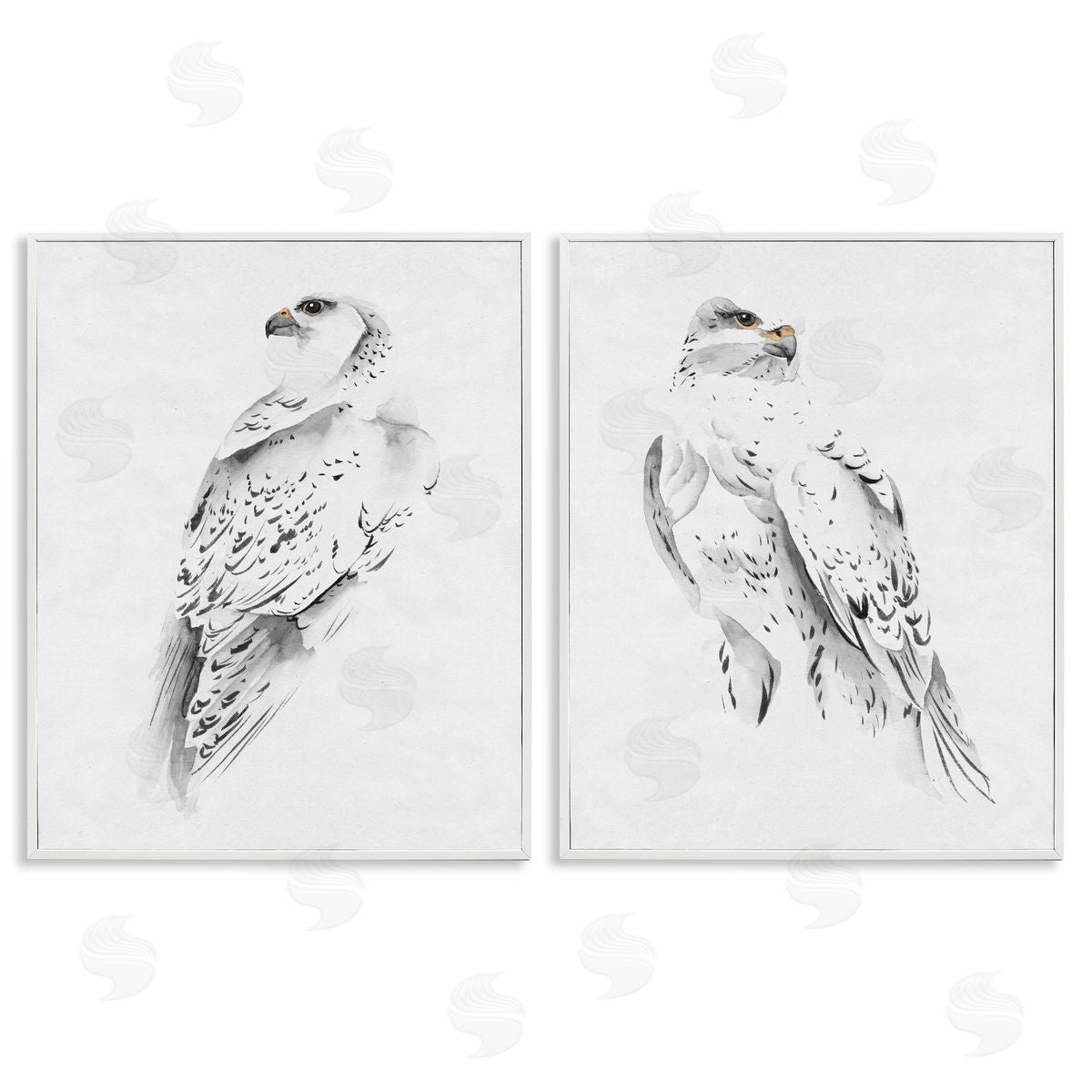 White Hawk Winter Birds White Frame Print Wall Art, Home Decor by Melissa Wang