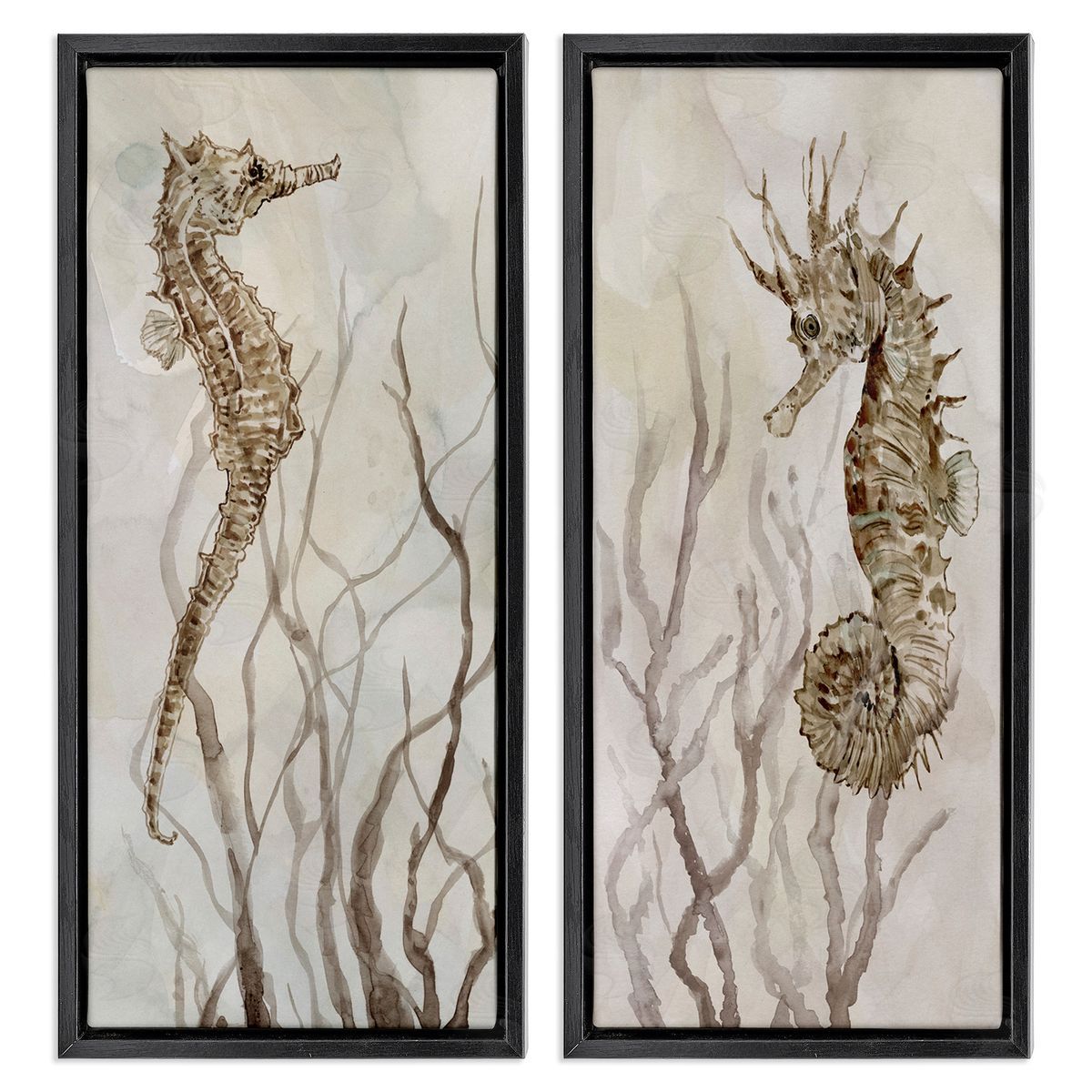 Enchanted Sea Horse & Ocean Algae Black Floating Frame Canvas Wall Art, Home Decor by Carol Robinson
