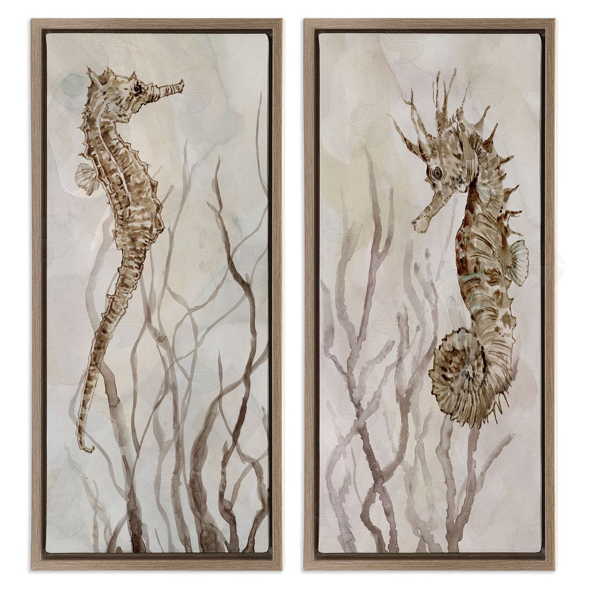 Enchanted Sea Horse & Ocean Algae Brown Floating Frame Canvas Wall Art, Home Decor by Carol Robinson