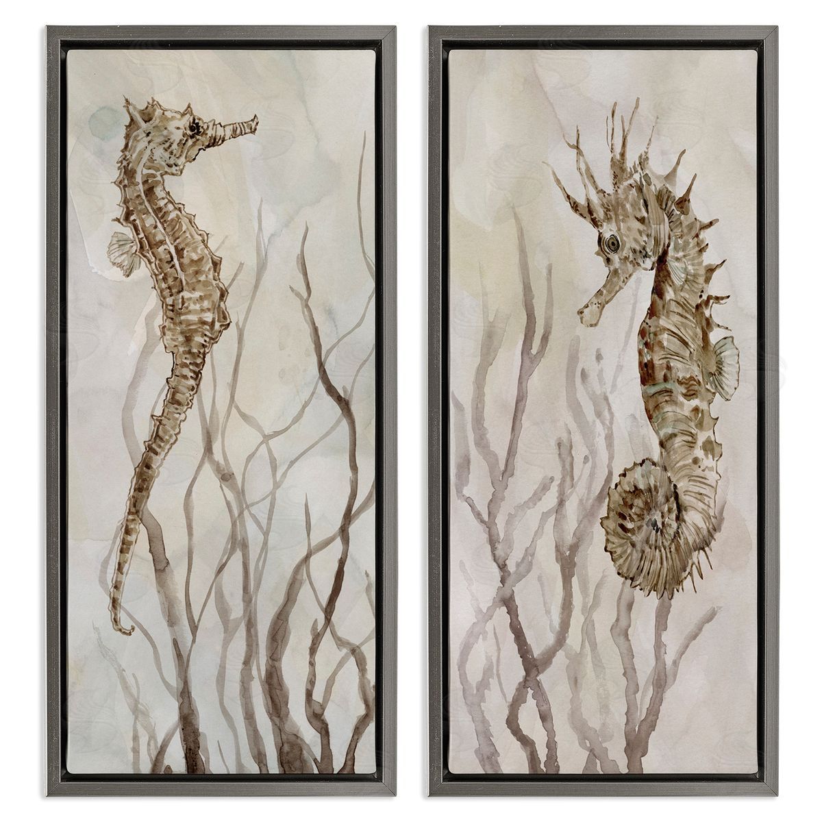 Enchanted Sea Horse & Ocean Algae Grey Floating Frame Canvas Wall Art, Home Decor by Carol Robinson