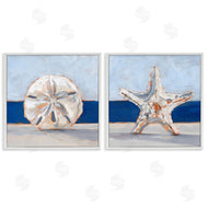 Ethan Harper | Sea Life Starfish Seashell Painting