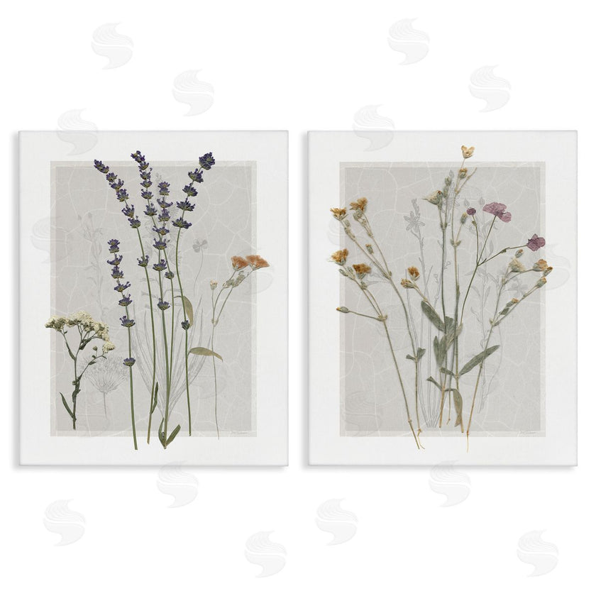 Carol Robinson | Delicate Wildflower Herb Sprigs