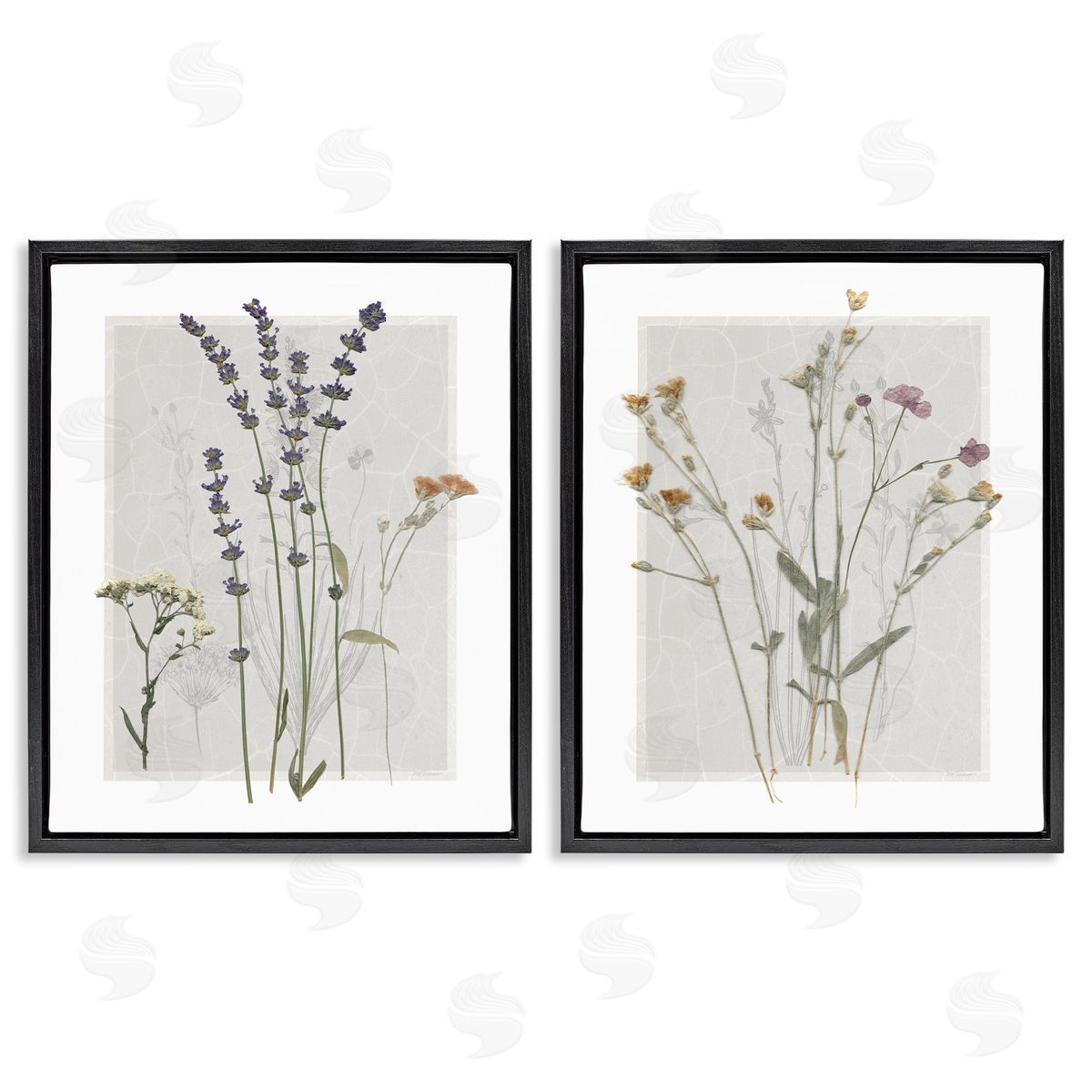 Delicate Wildflower Herb Sprigs Black Floating Frame Canvas Wall Art, Home Decor by Carol Robinson