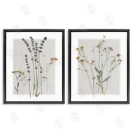 Carol Robinson | Delicate Wildflower Herb Sprigs
