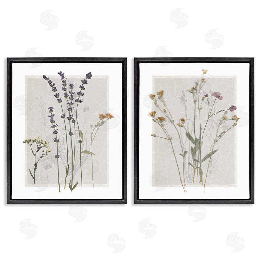 Carol Robinson | Delicate Wildflower Herb Sprigs