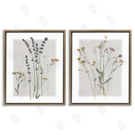 Carol Robinson | Delicate Wildflower Herb Sprigs