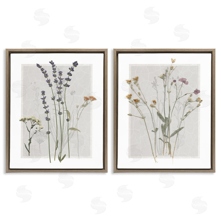 Carol Robinson | Delicate Wildflower Herb Sprigs