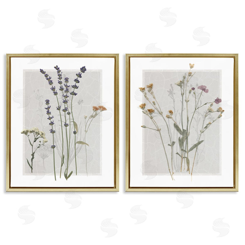 Carol Robinson | Delicate Wildflower Herb Sprigs