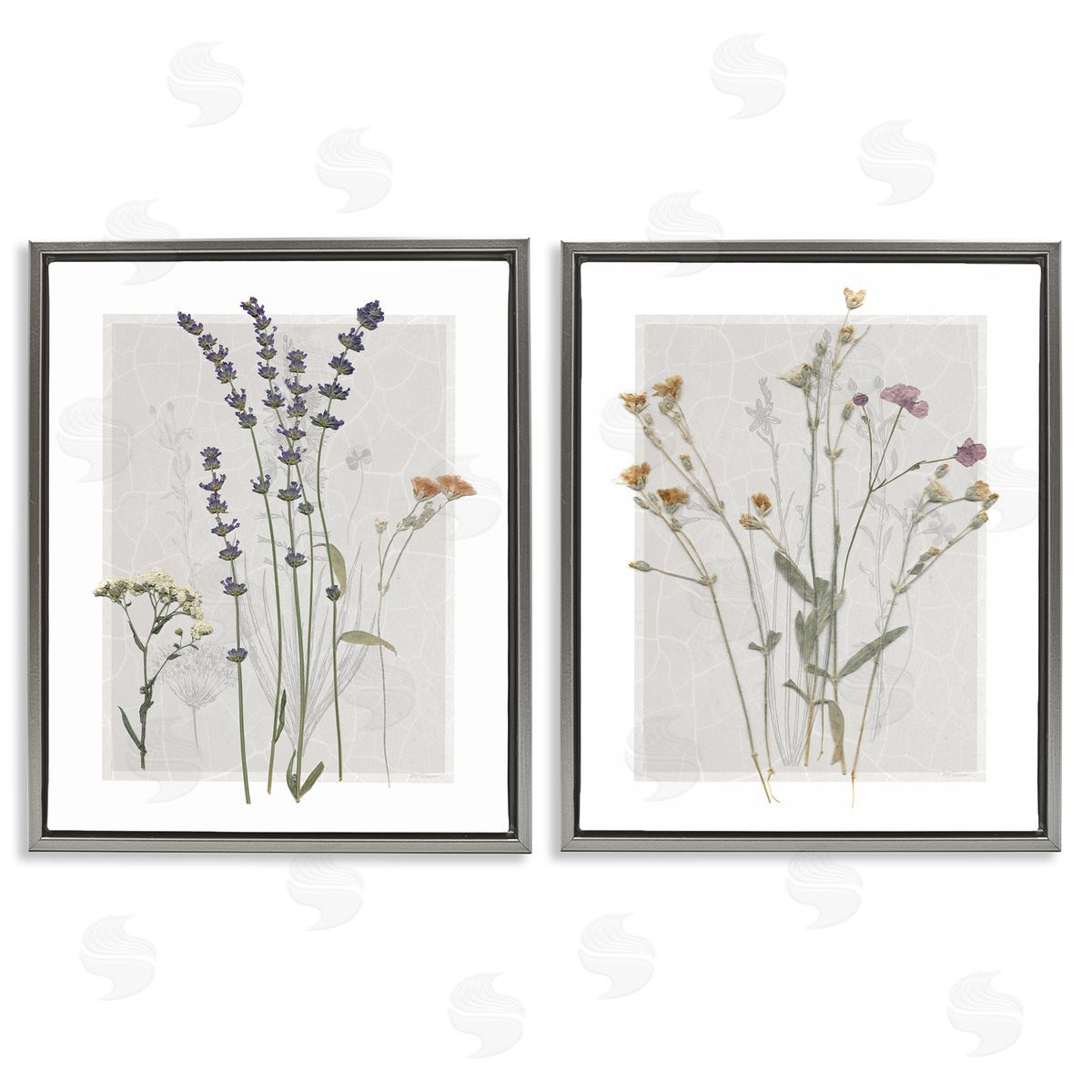 Delicate Wildflower Herb Sprigs Grey Floating Frame Canvas Wall Art, Home Decor by Carol Robinson