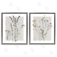 Carol Robinson | Delicate Wildflower Herb Sprigs