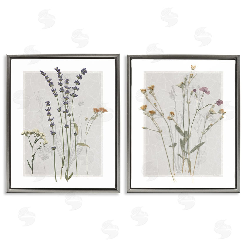 Carol Robinson | Delicate Wildflower Herb Sprigs