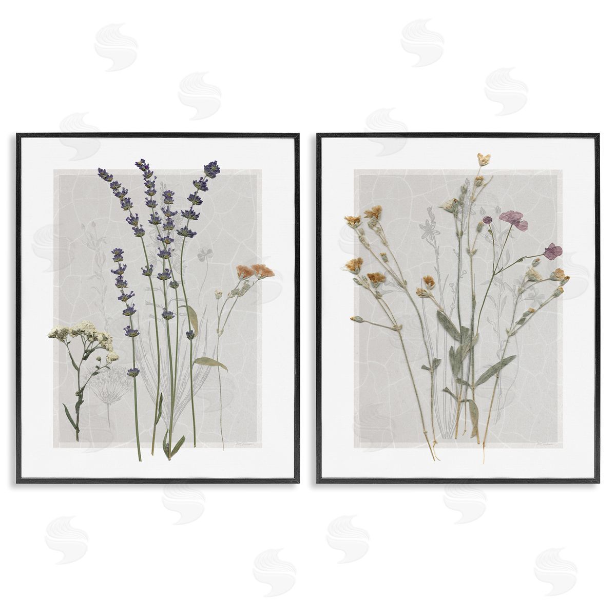 Delicate Wildflower Herb Sprigs Black Frame Print Wall Art, Home Decor by Carol Robinson