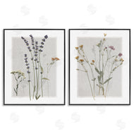 Carol Robinson | Delicate Wildflower Herb Sprigs
