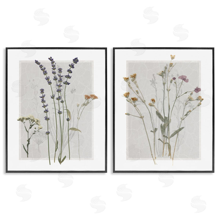 Carol Robinson | Delicate Wildflower Herb Sprigs