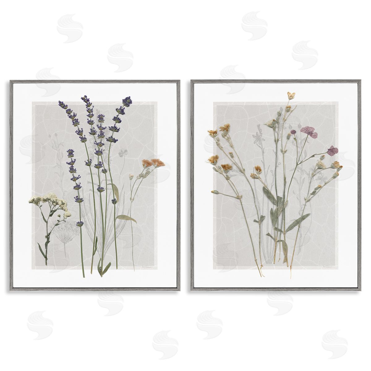Delicate Wildflower Herb Sprigs Grey Frame Print Wall Art, Home Decor by Carol Robinson