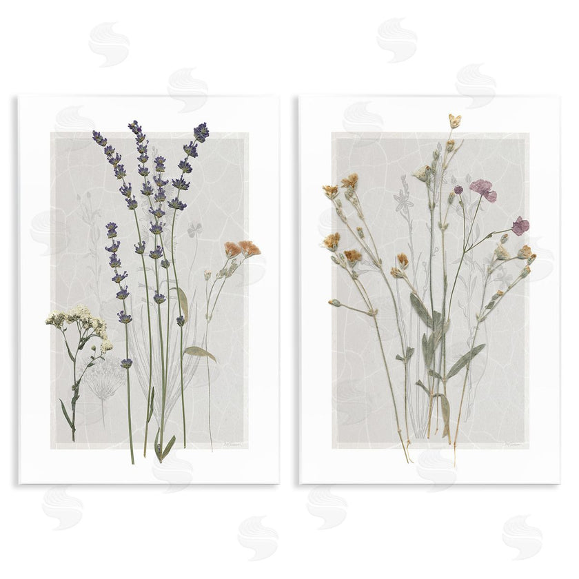 Carol Robinson | Delicate Wildflower Herb Sprigs